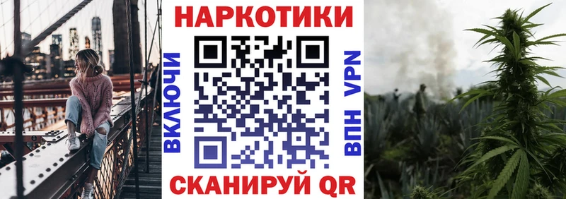 Какие есть наркотики Бокситогорск СОЛЬ COCAIN ГАШИШ Галлюциногенные грибы Конопля Амфетамин