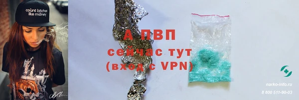 стафф Абинск