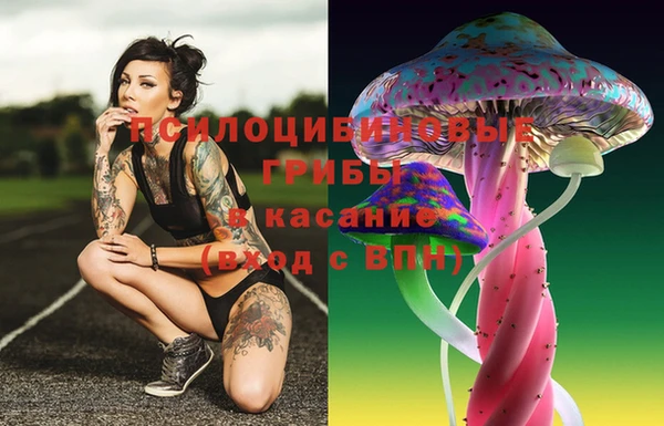 стафф Абинск