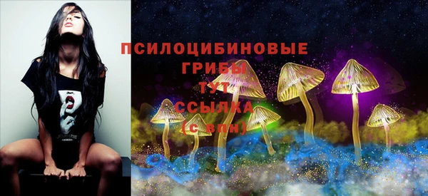 прущие крисы Алексин